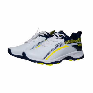 Shine Cricket Shoes
